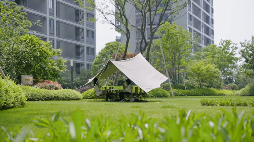 2024澳门2024免费原料