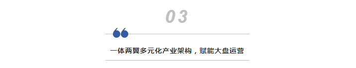 2024澳门2024免费原料
