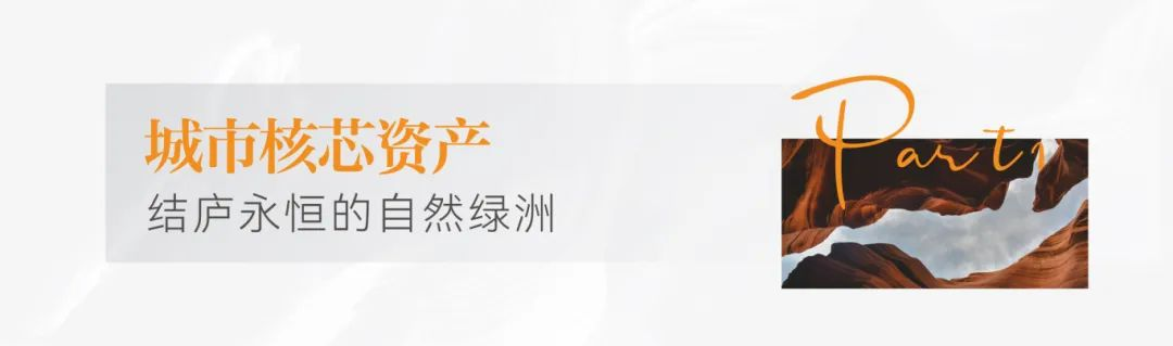 2024澳门2024免费原料