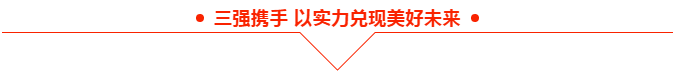 2024澳门2024免费原料