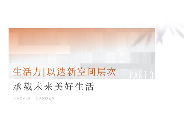 2024澳门2024免费原料