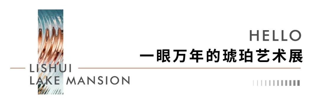 2024澳门2024免费原料