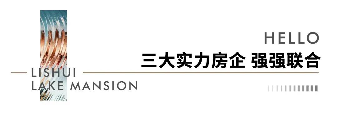 2024澳门2024免费原料