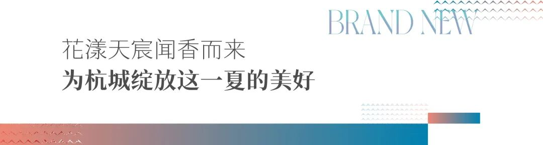 2024澳门2024免费原料