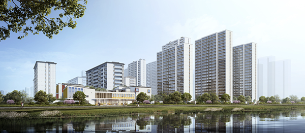 2024澳门2024免费原料