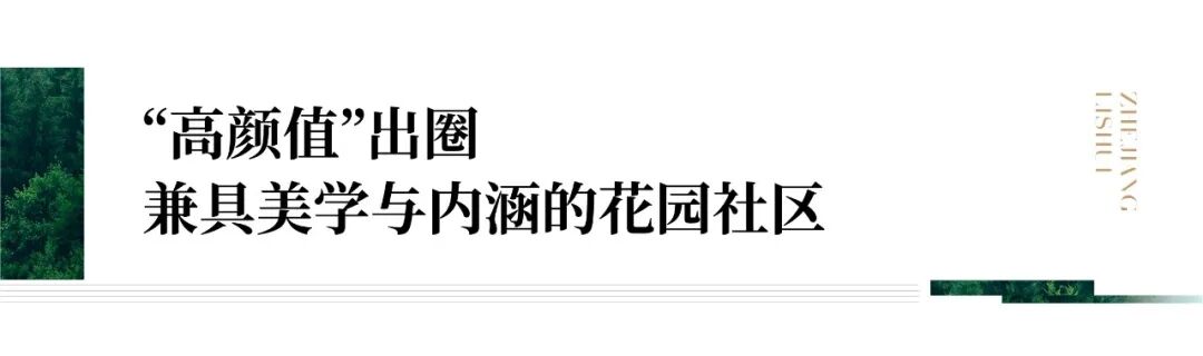 2024澳门2024免费原料