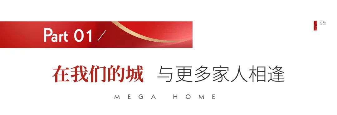 2024澳门2024免费原料