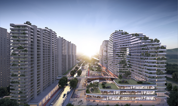 2024澳门2024免费原料