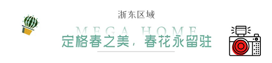2024澳门2024免费原料