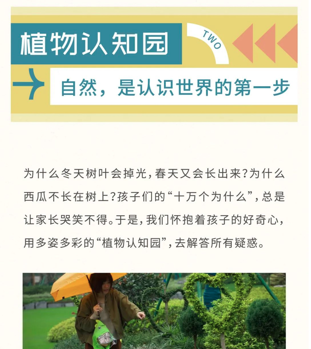 2024澳门2024免费原料